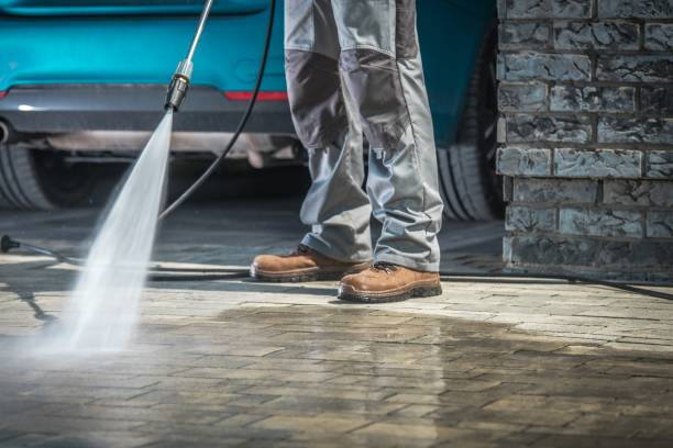Best Sidewalk and Walkway Cleaning  in Notre Dame, IN