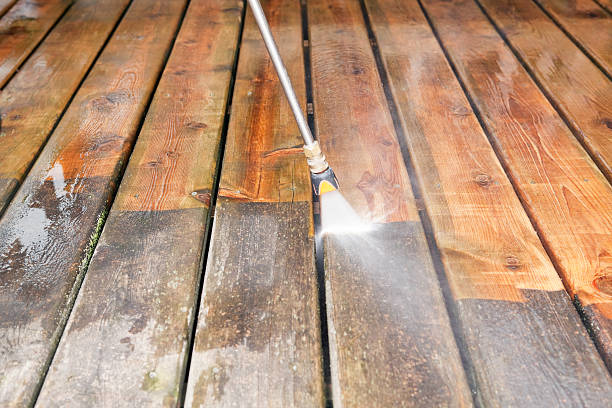 Best Fence Cleaning  in Notre Dame, IN
